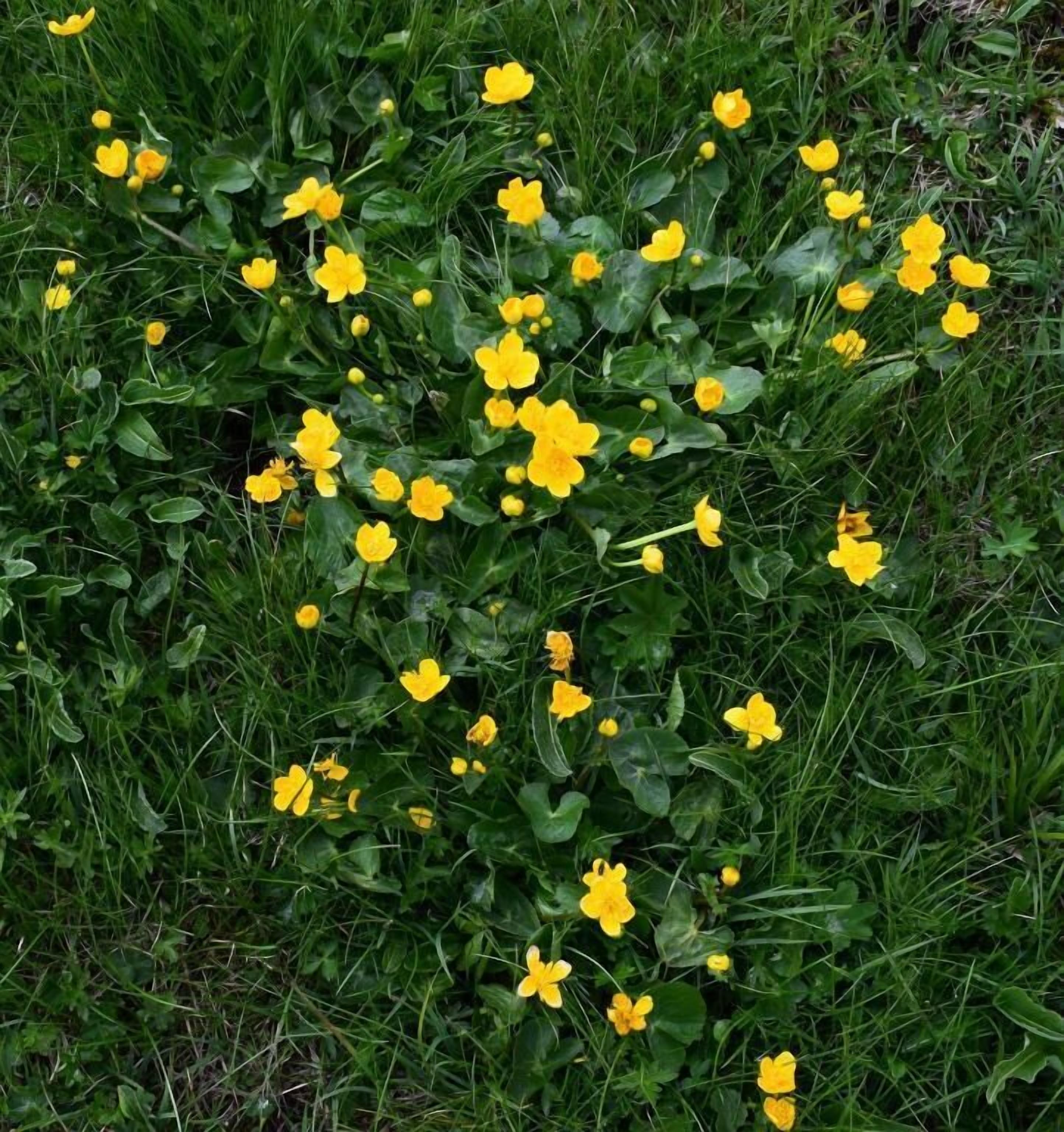 Foto - Hotel Peretol