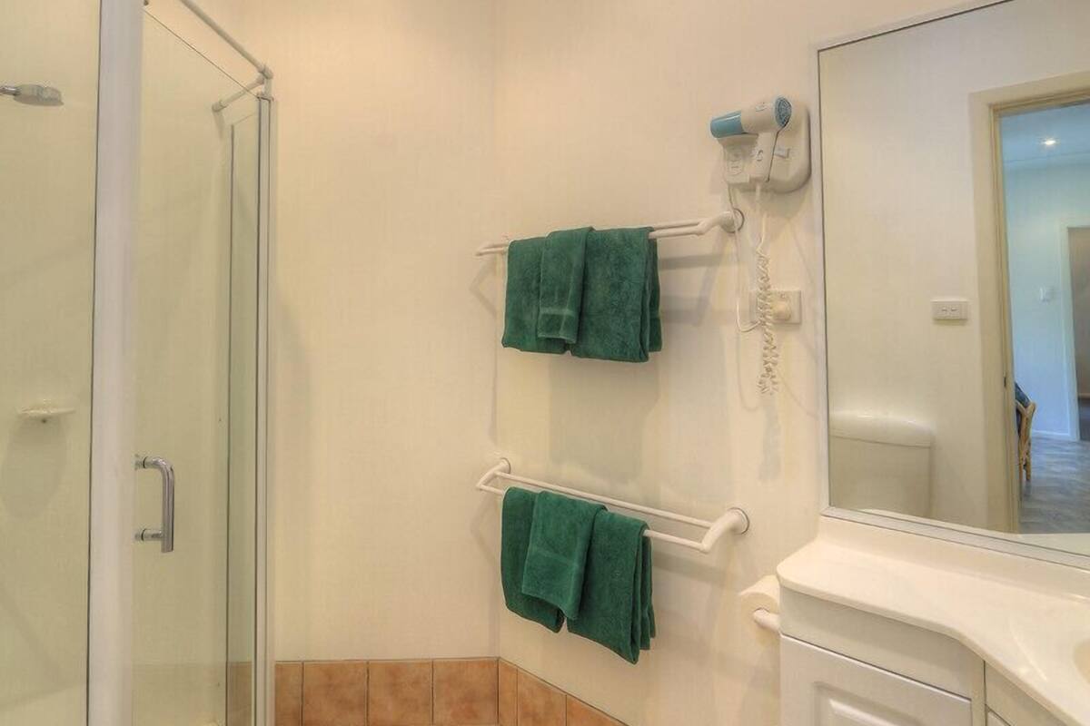 shower, free toiletries, hair dryer, towels