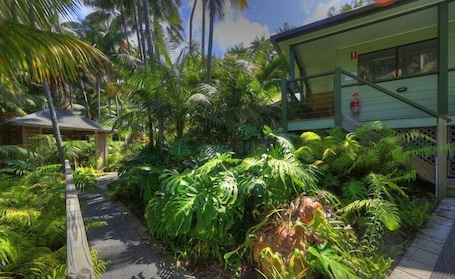 Studio Unit | Balcony. Leanda Lei - Lord Howe Island