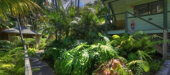 เลอันดา เลย - เกาะลอร์ดโฮวี