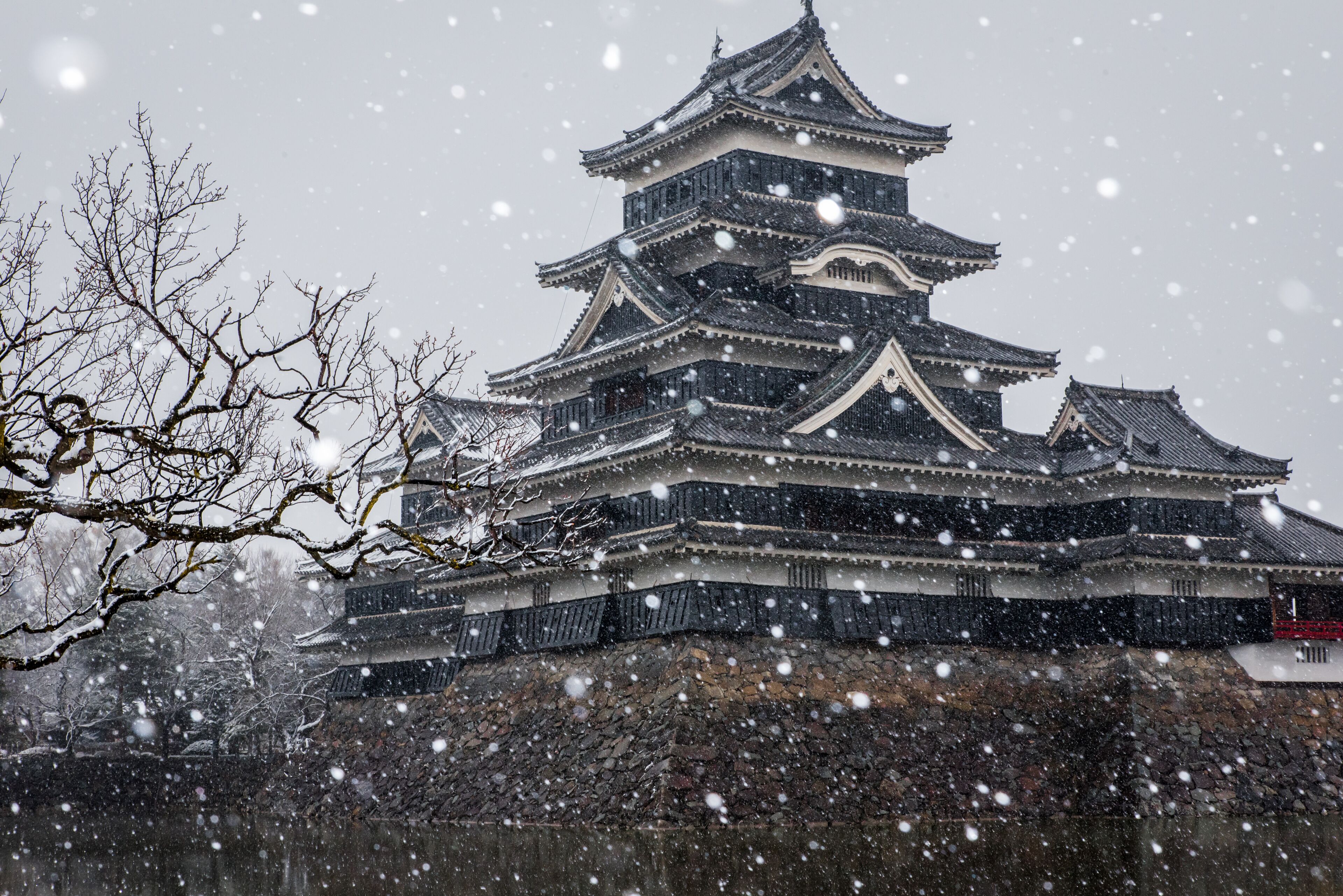 A traditional Japanese castle with multiple tiers and a stone base, surrounded by snow-covered trees.
