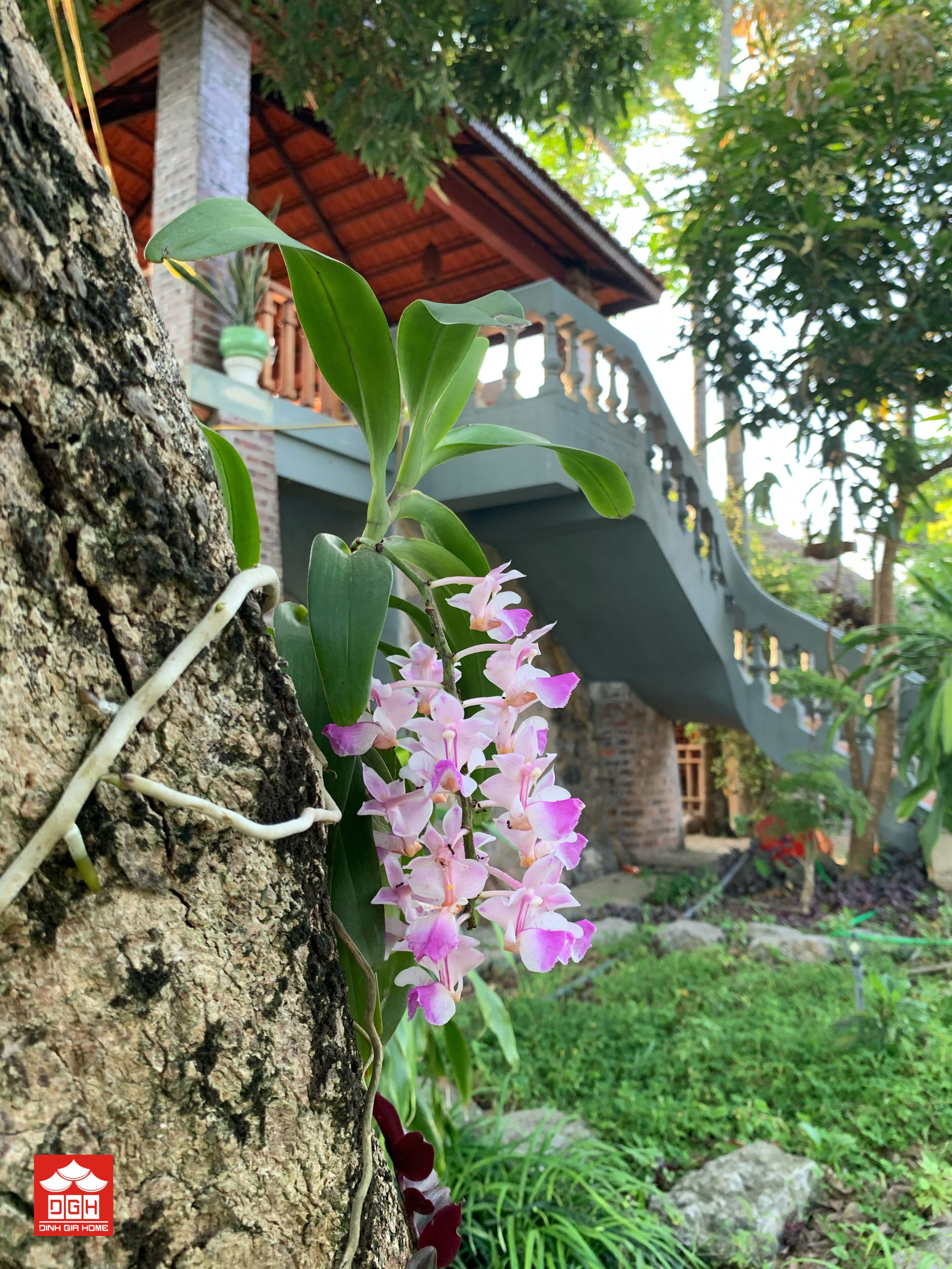 A garden with a tree and pink flowers, a stone wall, and a building with a red roof and balcony.