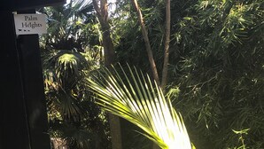 庭園