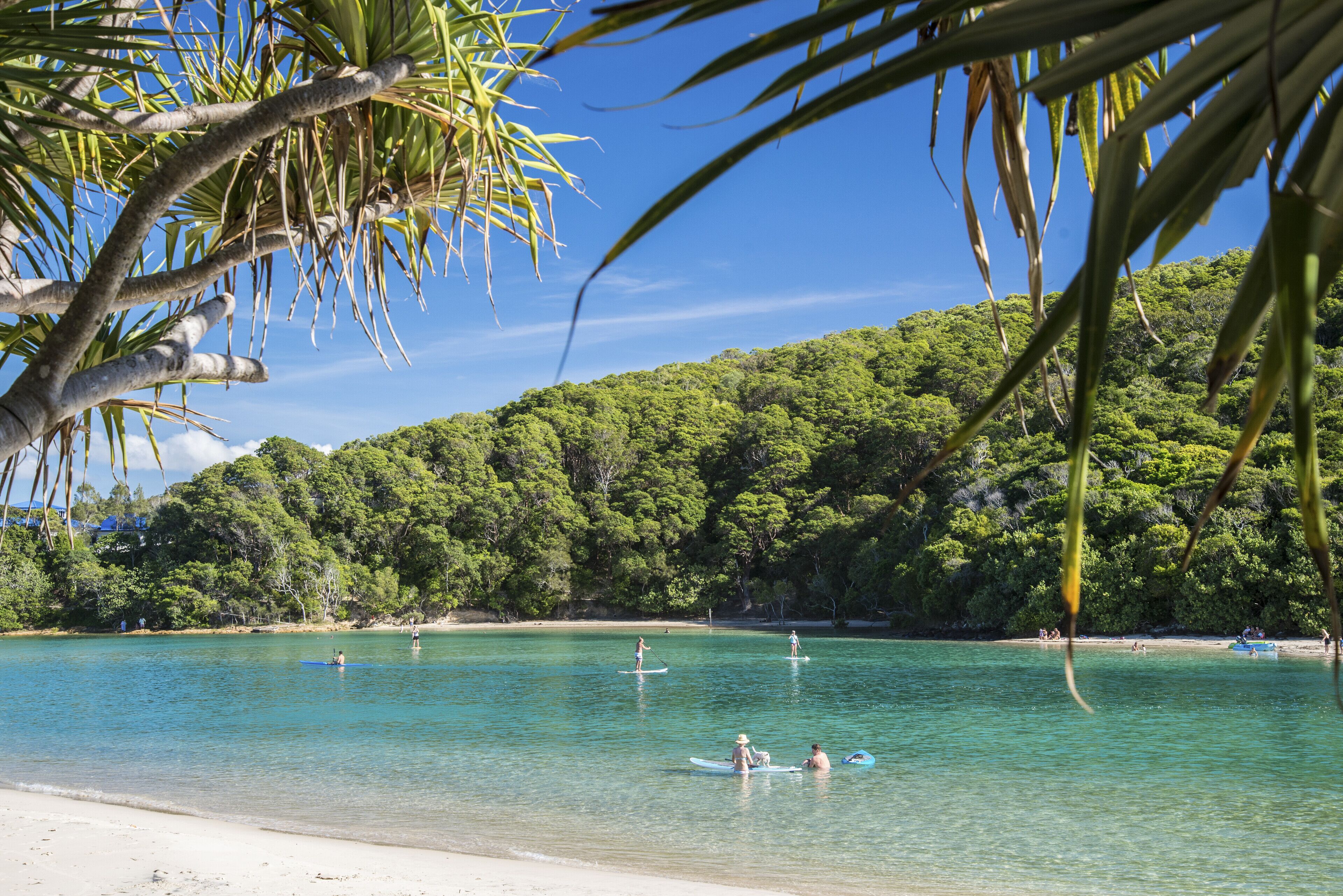 Una playa con agua turquesa cristalina, palmeras y una colina boscosa al fondo.