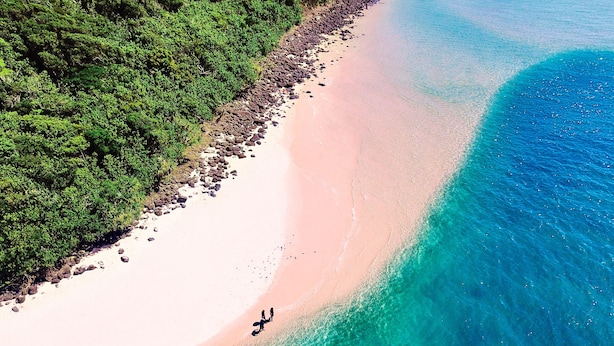 An aerial view of a beach with clear turquoise waters, a sandy shore, and dense green vegetation along the coastline. - Burleigh Beach Tower (Burleigh Heads)