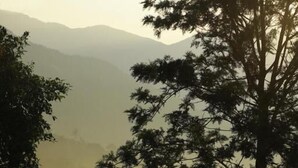 A pool with a clear view of surrounding trees and distant mountains. - Broad Bean Resort & Spa (Devikolam)