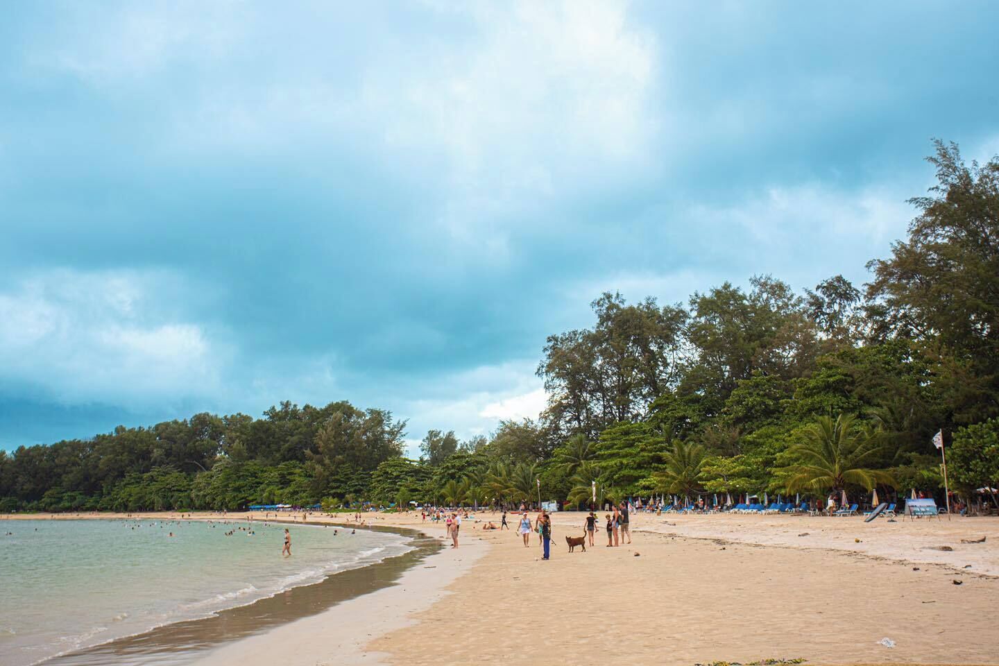 A beach with people, a sandy shore, and trees in the background.