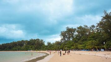 A beach with people, a sandy shore, and trees in the background.