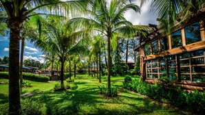 Un jardín tropical con palmeras y un edificio de madera con ventanas grandes.