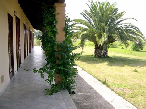 Terrace/patio
