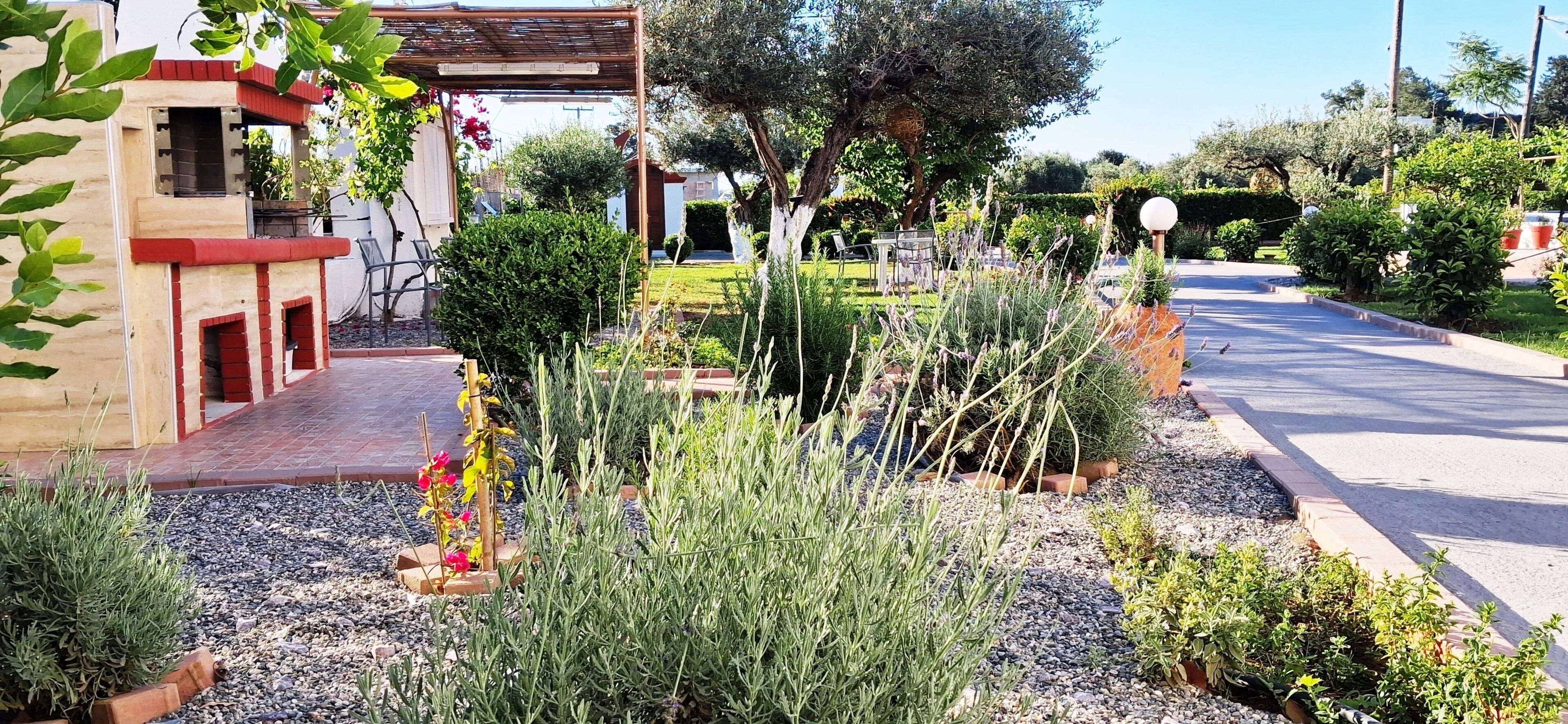 Un jardin avec un chemin pavé, différentes plantes et un bâtiment à la façade rouge et beige.