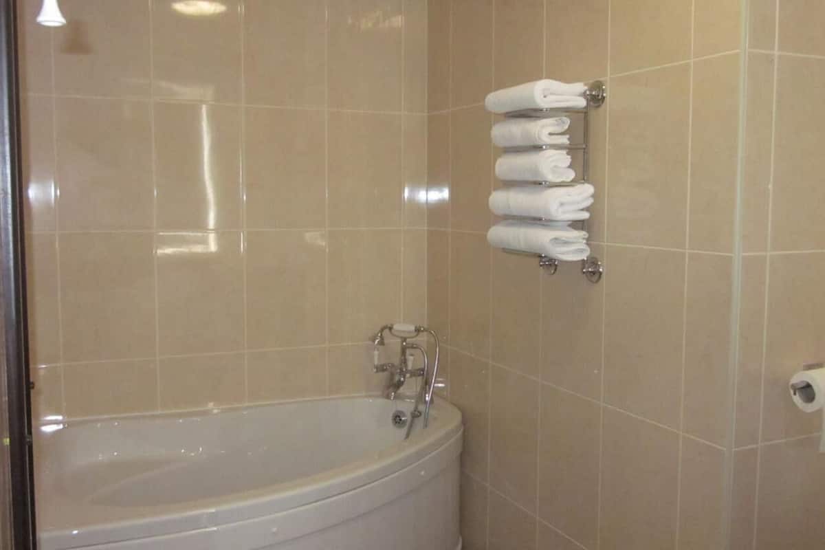 free toiletries, hair dryer, towels