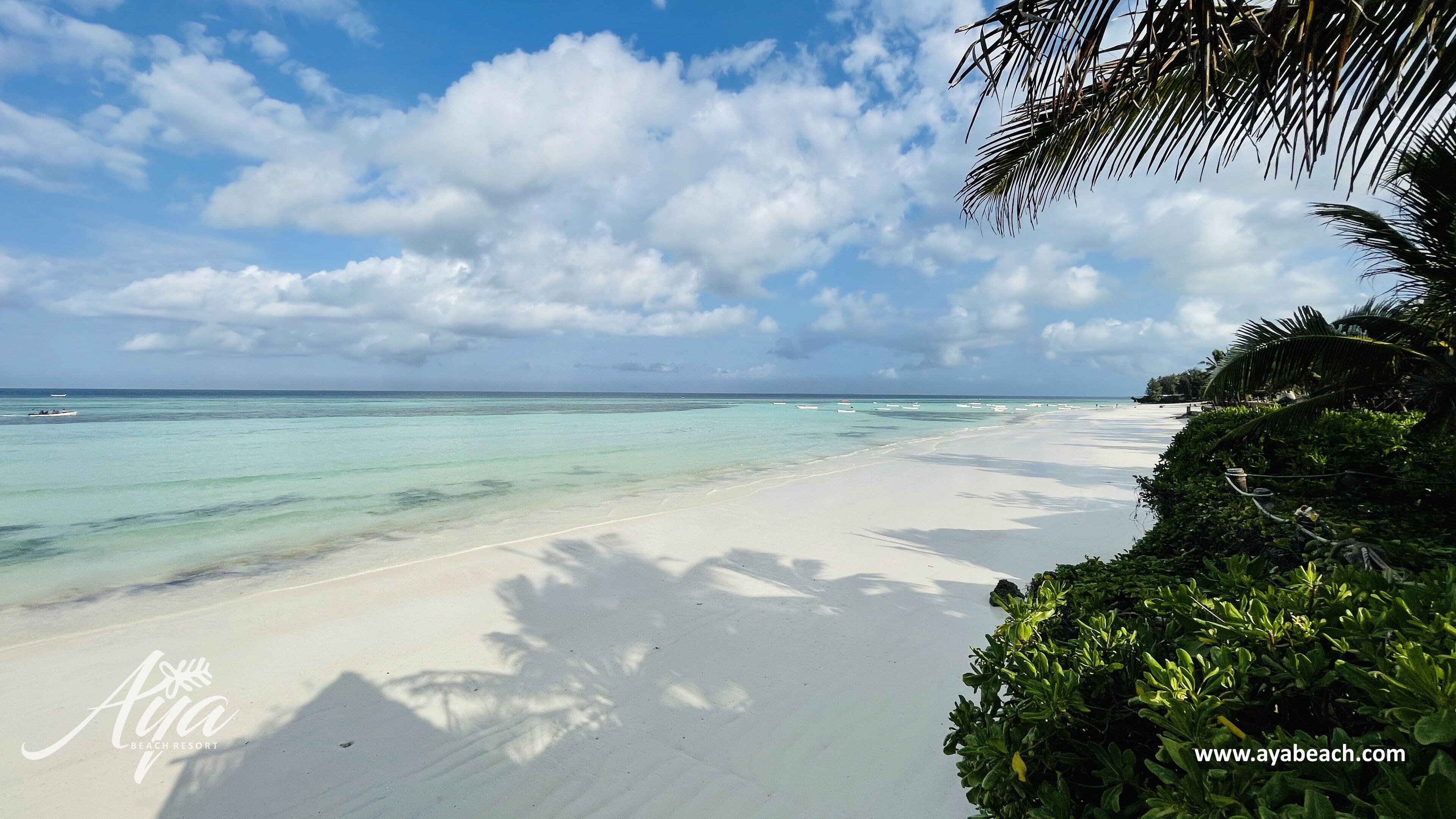 A beach with clear turquoise water, white sand, and palm trees.