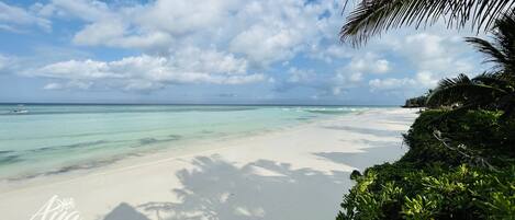 A beach with clear turquoise water, white sand, and palm trees.