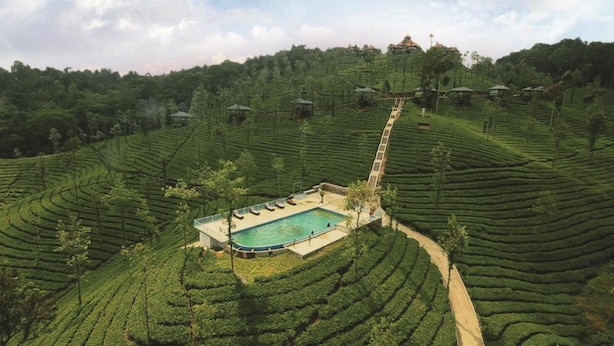A resort with terraced tea gardens, a swimming pool, and a staircase leading up the hill. - Wild Planet Resort (Nilambur)