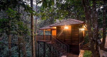 Wild Planet Resort