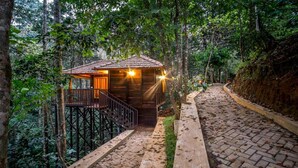 A wooden cabin with a balcony, surrounded by a forested area and a brick pathway. - Wild Planet Resort (Nilambur)