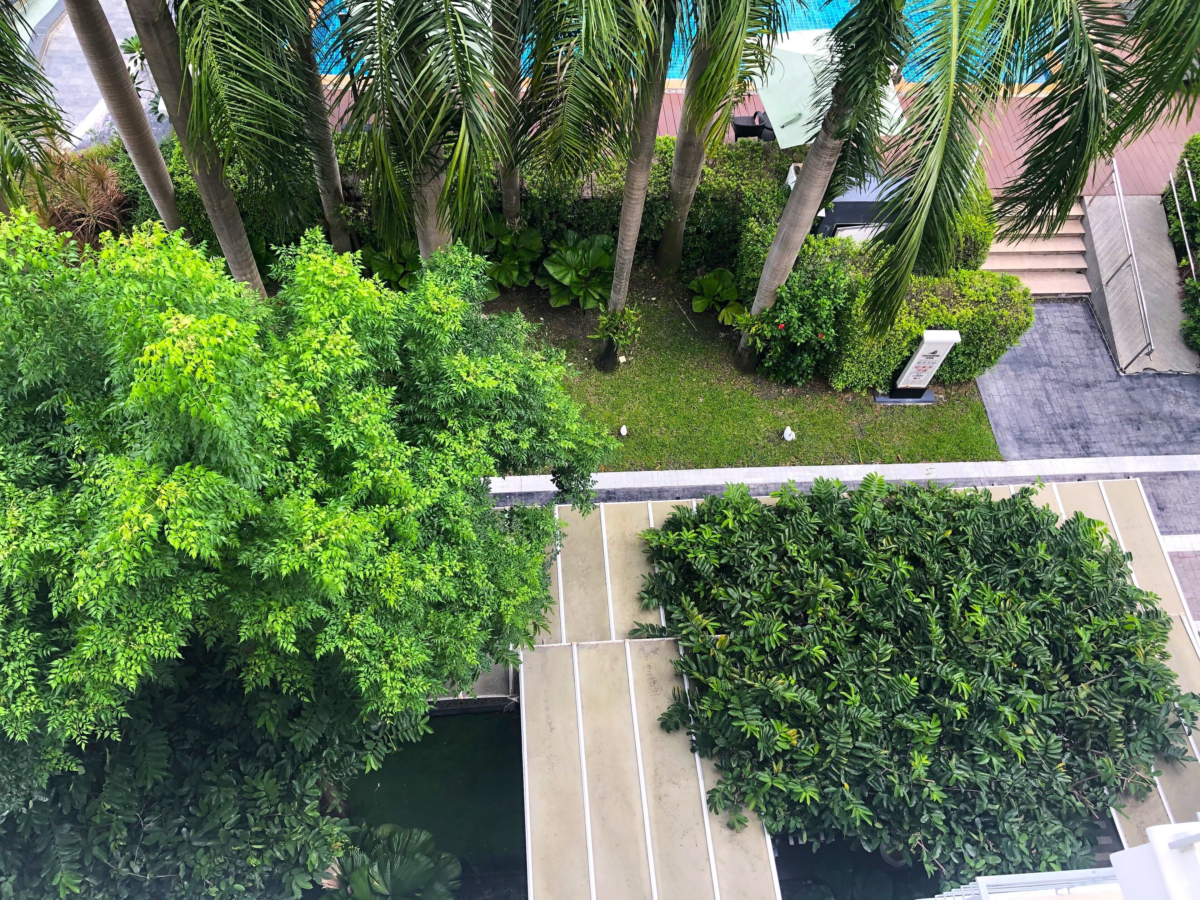 Tvåbäddsrum Deluxe | Utsikt mot trädgården