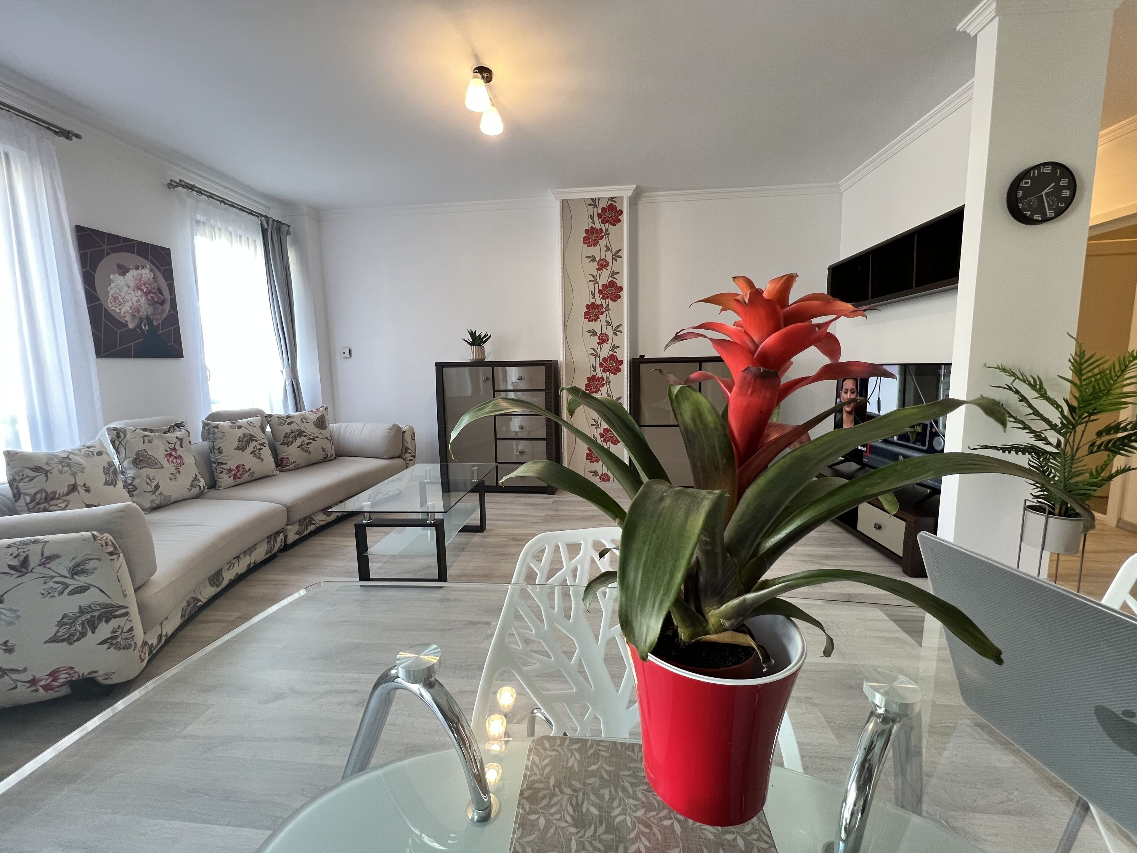 Una sala de estar moderna con un sofá, una mesa de centro de vidrio, una planta en maceta roja, un televisor y un reloj de pared.