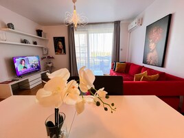 Basic Apartment, 1 Queen Bed with Sofa bed | Living area | LED TV