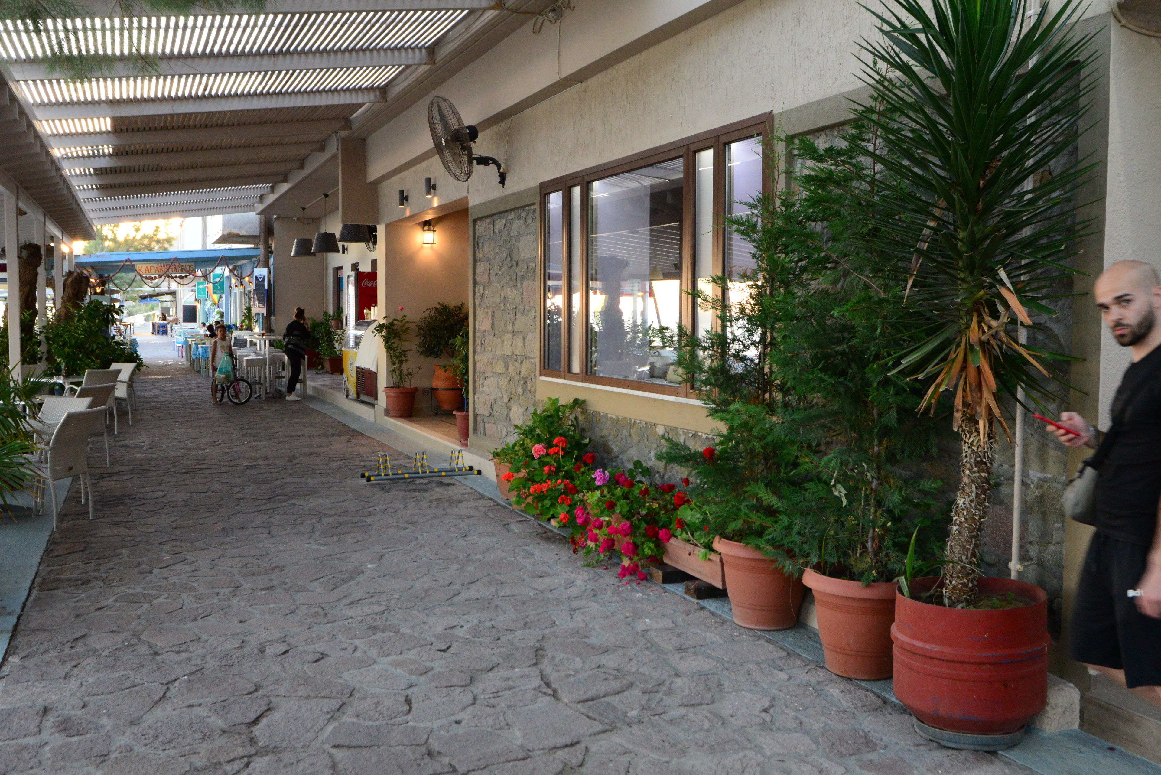 A cobblestone pathway leading to a building with outdoor seating and potted plants.
