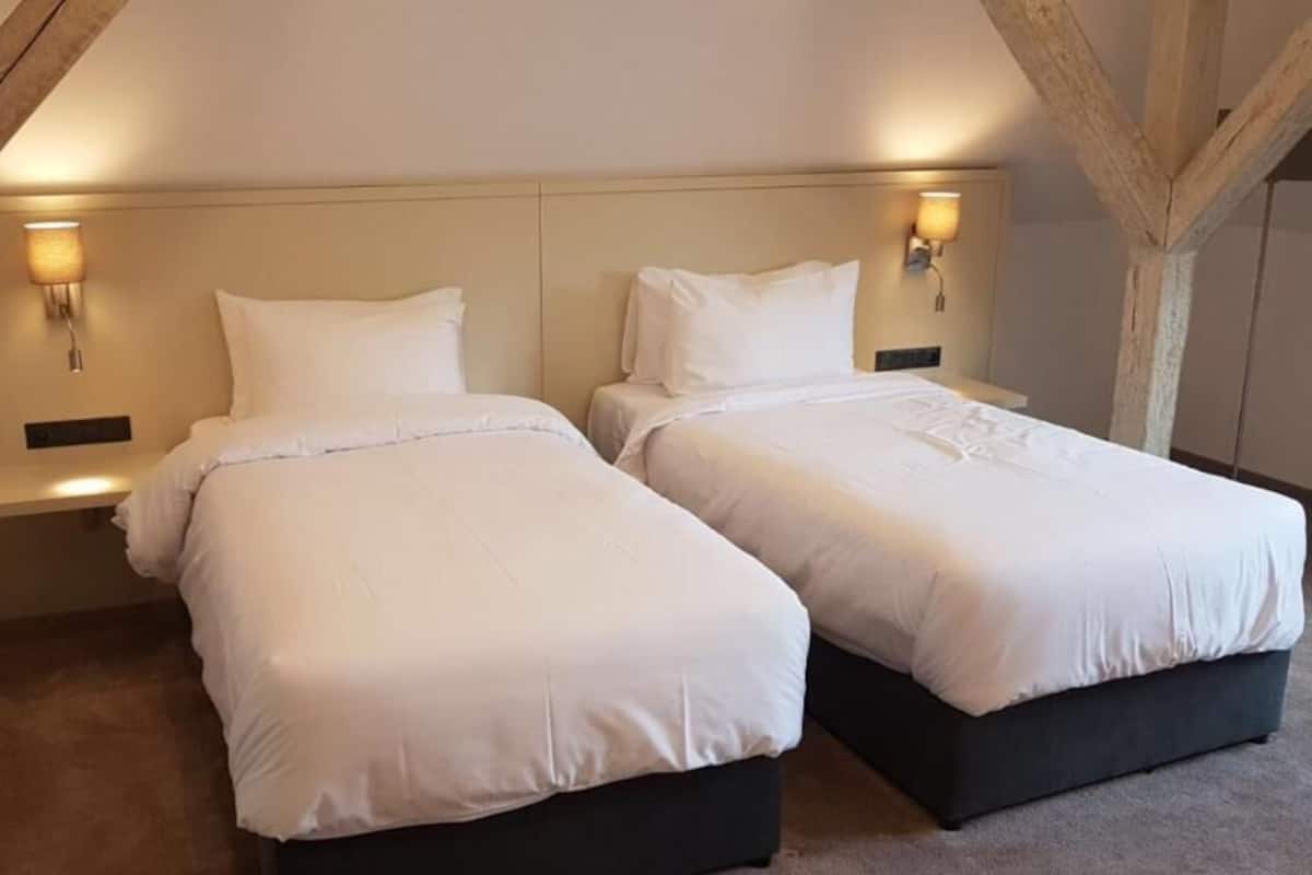 Twin kamer, 2 eenpersoonsbedden | Een minibar, een kluis op de kamer, een bureau, verduisterende gordijnen