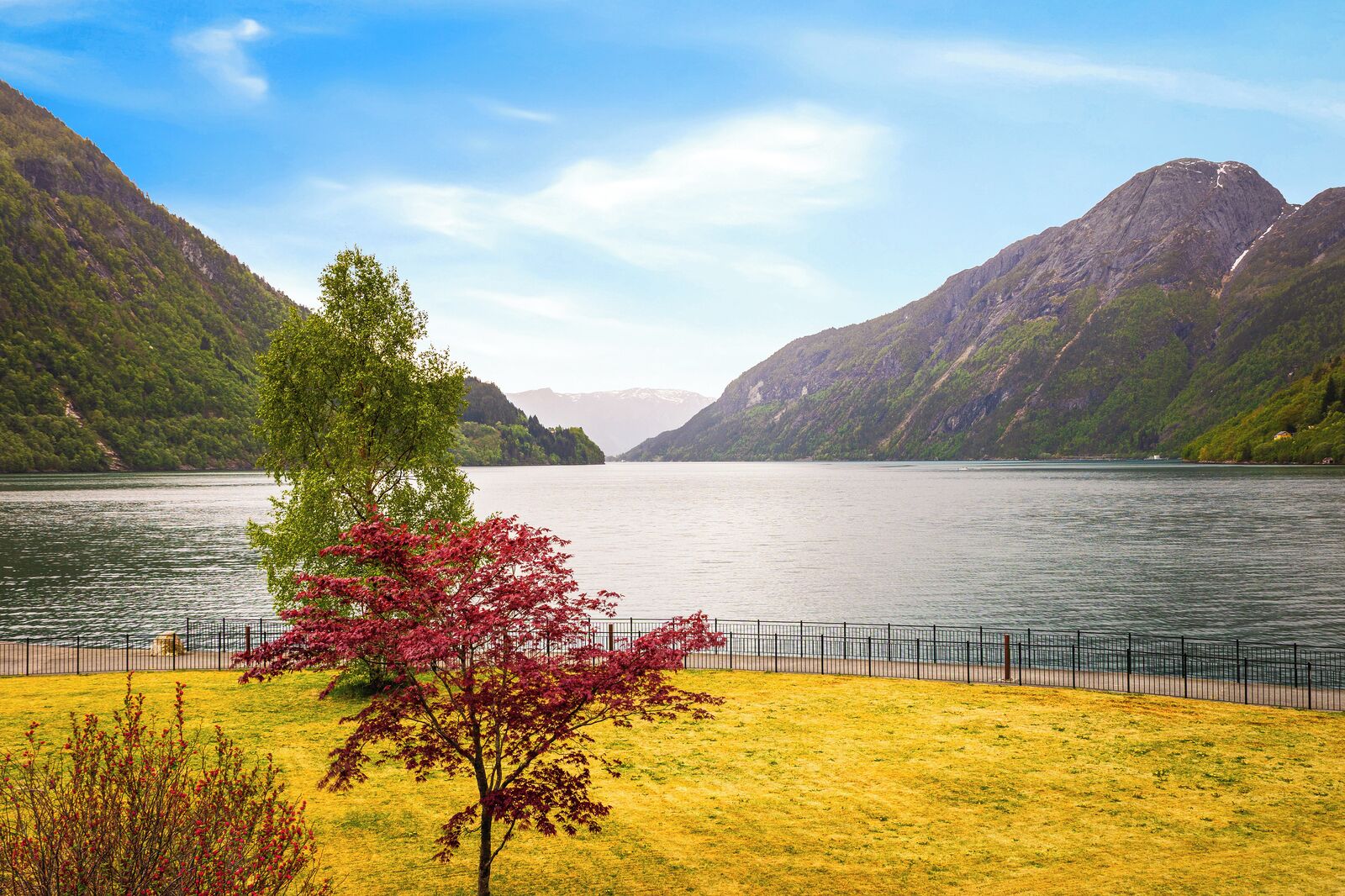 A lake with mountains, a tree with red leaves, and a fence.