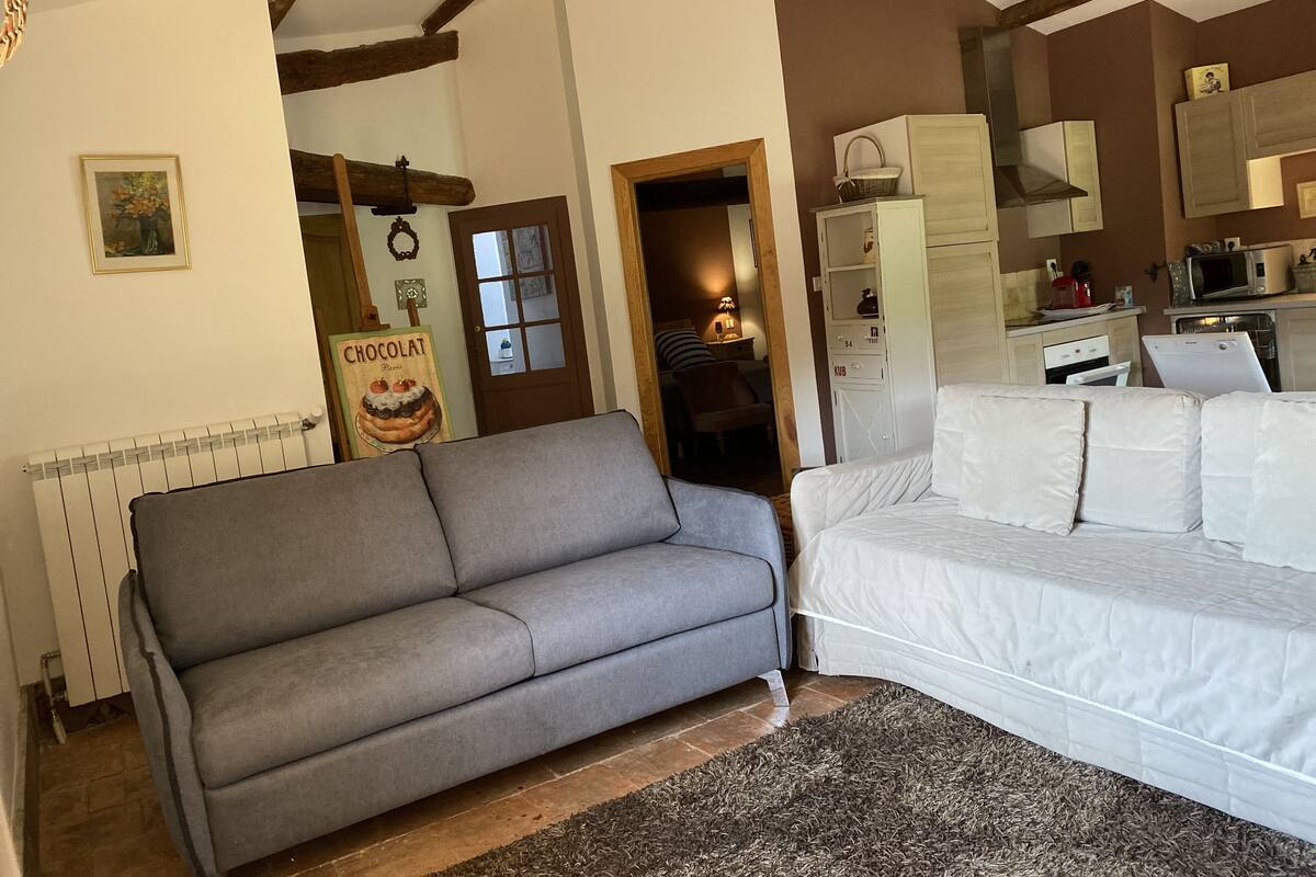 Una sala de estar acogedora con un sofá gris, un sofá blanco y una zona de cocina con electrodomésticos modernos.