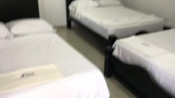 Family Room | Desk, iron/ironing board, free WiFi