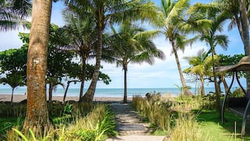A pathway leading to a beach with palm trees and a hammock.