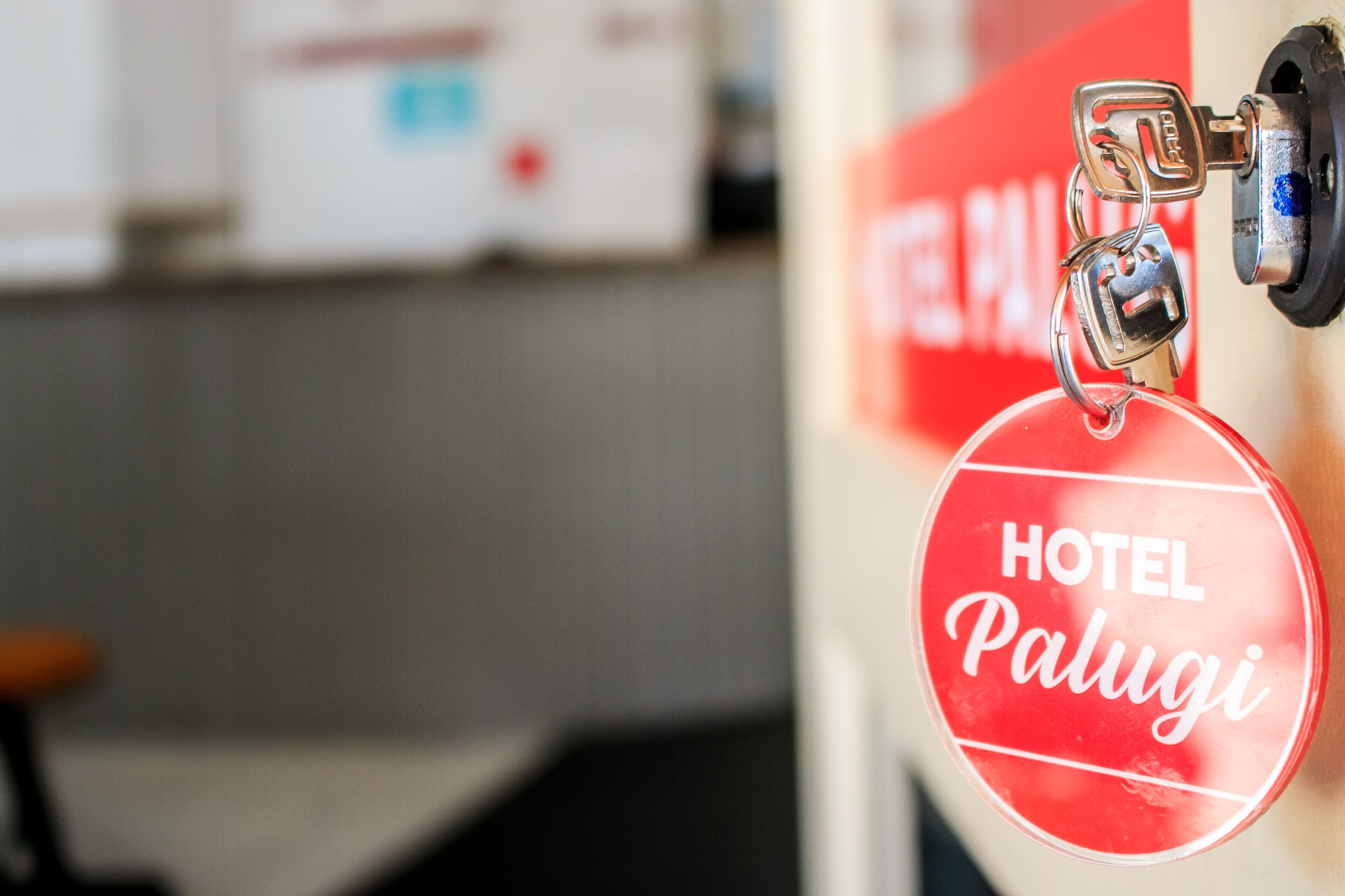 A keychain with "HOTEL Palugi" written on it.