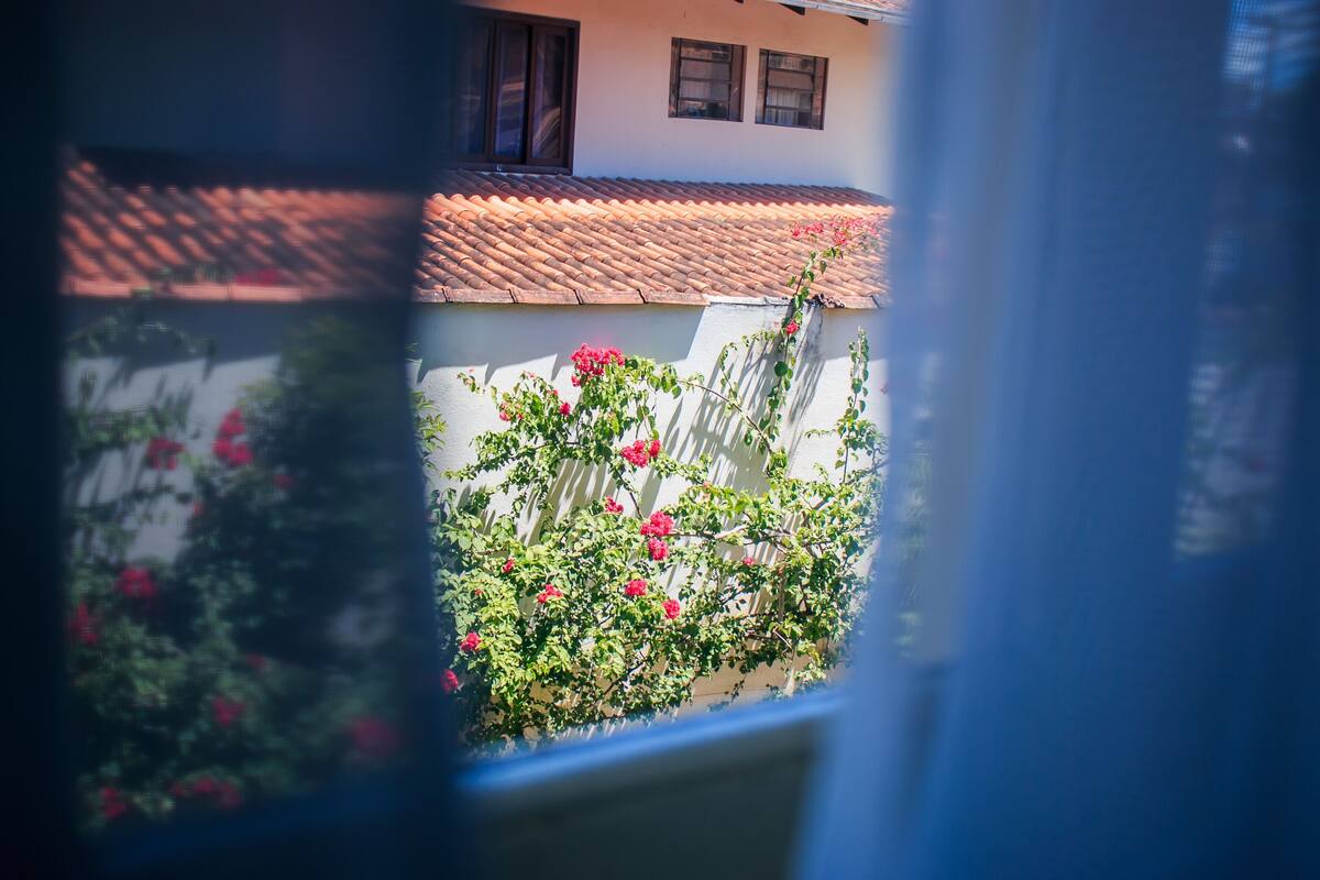 A view through a window of a building with a tiled roof, a white wall, and a flowering plant.