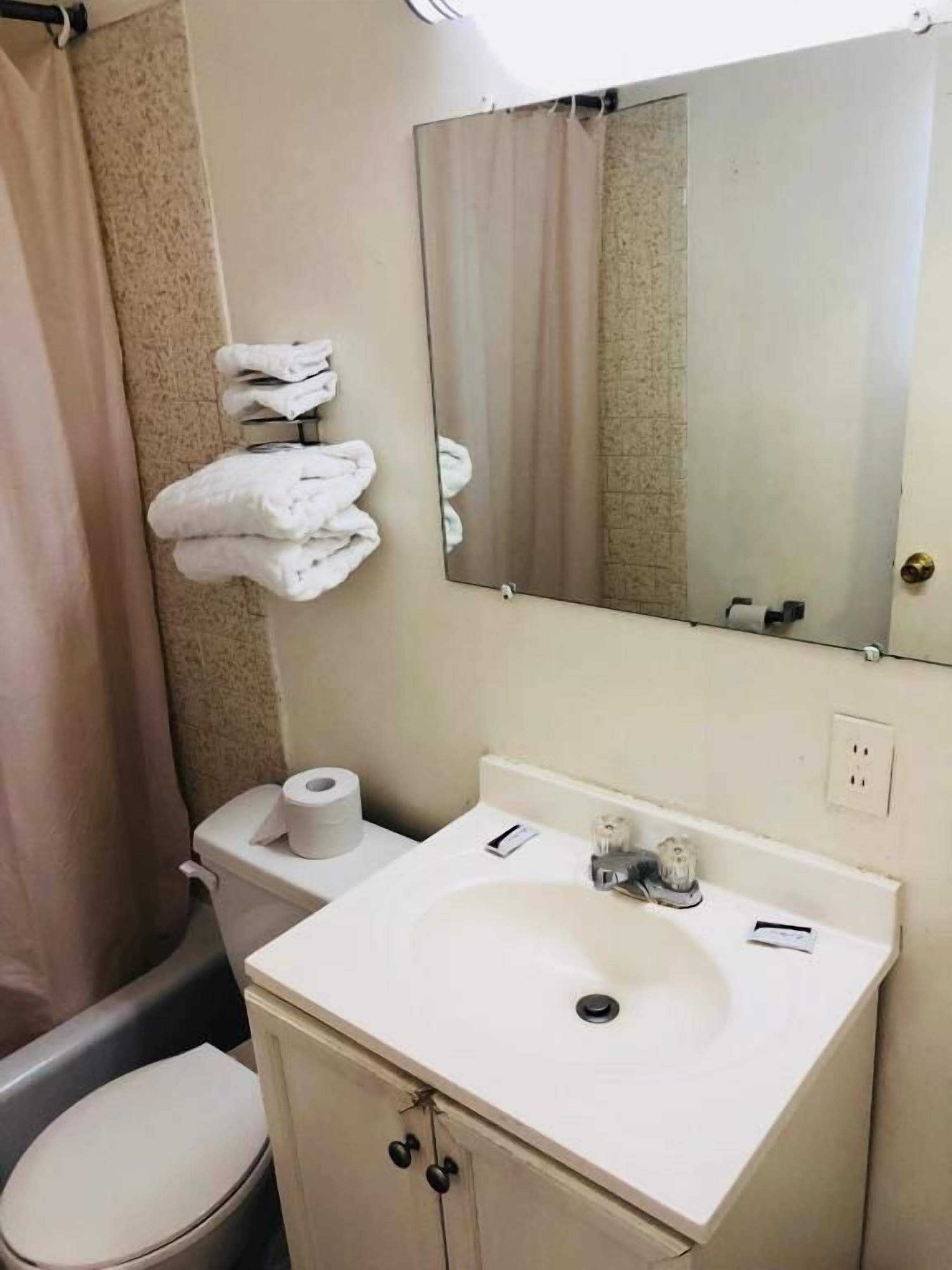 A bathroom with a toilet, sink, and mirror.