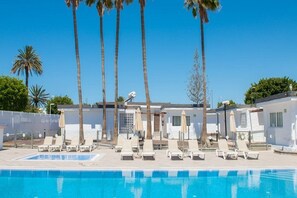 A pool area with lounge chairs and umbrellas, surrounded by palm trees and a white building. - Sunny Village (San Bartolome de Tirajana)