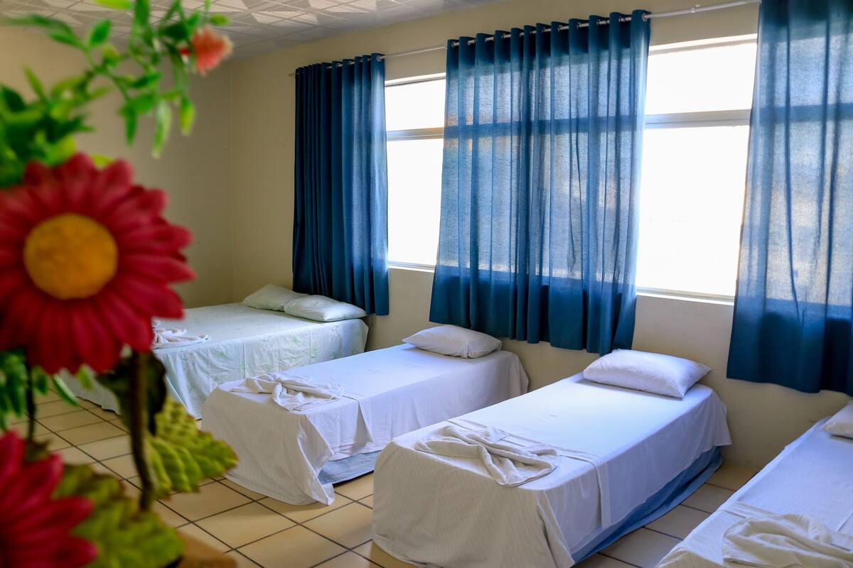 A room with three single beds, each with a pillow and a white bedspread. There are blue curtains on the windows, and a potted plant with red flowers is visible in the foreground.