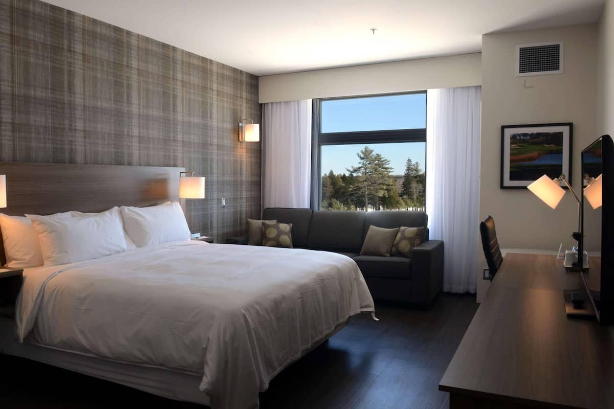 A hotel room with a large bed, a sofa, a desk, and a window with a view of trees.