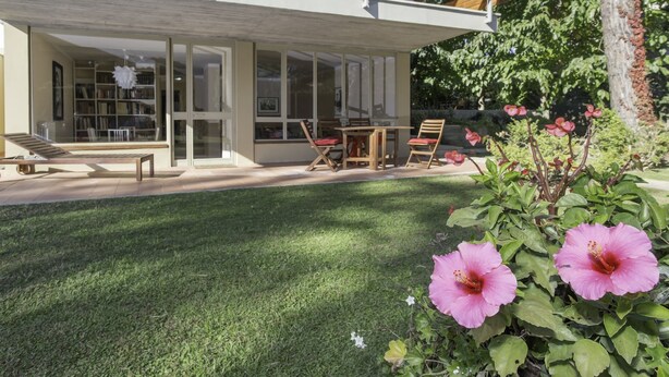 A modern house with a covered patio, a glass door leading to a library, and a garden with pink flowers. - Villa Comfort Zone Tirrenia (Tirrenia)