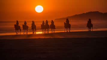 Un atardecer sobre una playa con siluetas de personas a caballo.