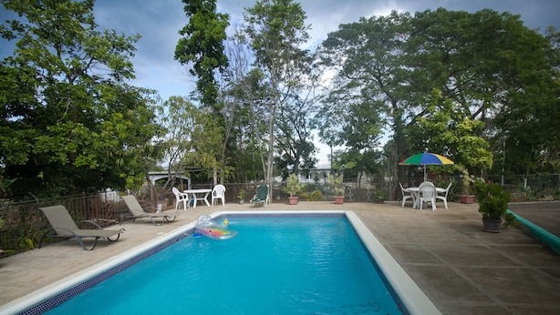 A rectangular swimming pool with a tiled deck, surrounded by trees and outdoor furniture, including chairs and a table. - Rocky Top Retreat (Negril)
