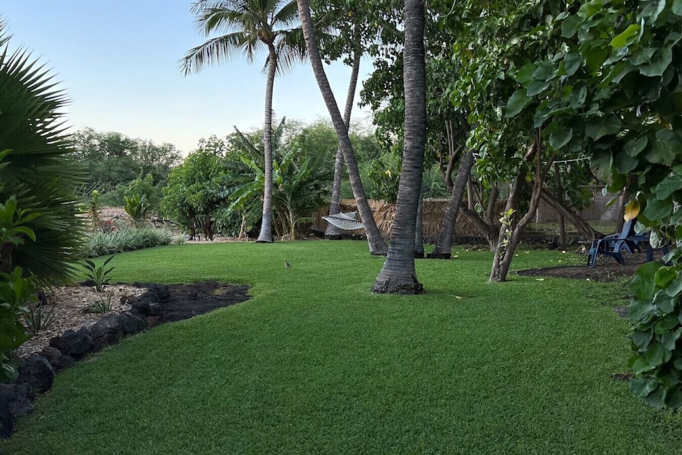 A well-maintained garden with a variety of tropical plants and a neatly trimmed lawn.