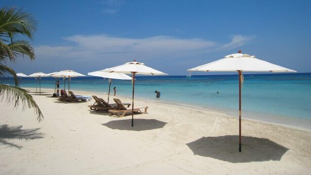 A beach with white umbrellas and lounge chairs. - Waterfront Luxury 3 Bedroom w/ Pool and Dock (West End)