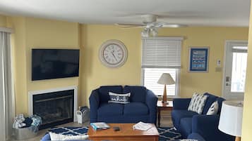 TV, fireplace, books