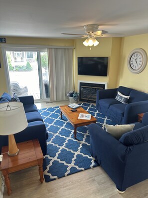 TV, fireplace, books