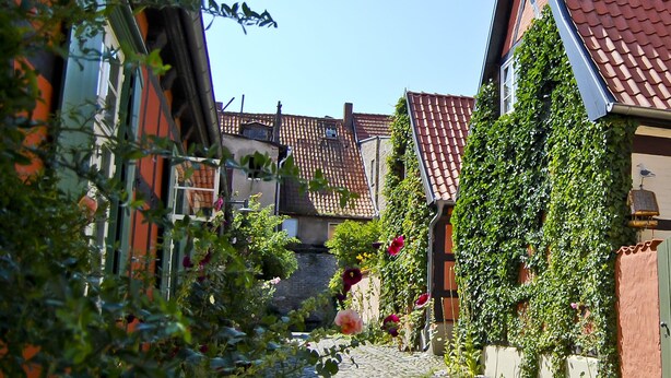A cobblestone street in a European village with traditional buildings, a clear sky, and a pigeon on a rooftop. - Sunny 4-star holiday home in Stralsund, the gateway to the island of Rügen (Stralsund)