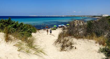 Villa isolée avec piscine non partagée (juin-septembre) entourée d'un hectare d'oliviers