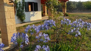 Uma casa moderna com fachada de pedra, telhado vermelho e jardim com flores azuis.