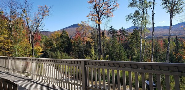 Terrain de l’hébergement 