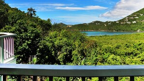 A lush green landscape with a clear blue sky, a body of water, and scattered buildings on a hillside. - Fish Tales a Caribbean Cottage style home with a Pool, walk to Reef Bay Beach (St John)