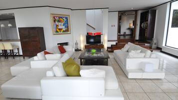 Televisión, chimenea, libros y estéreo