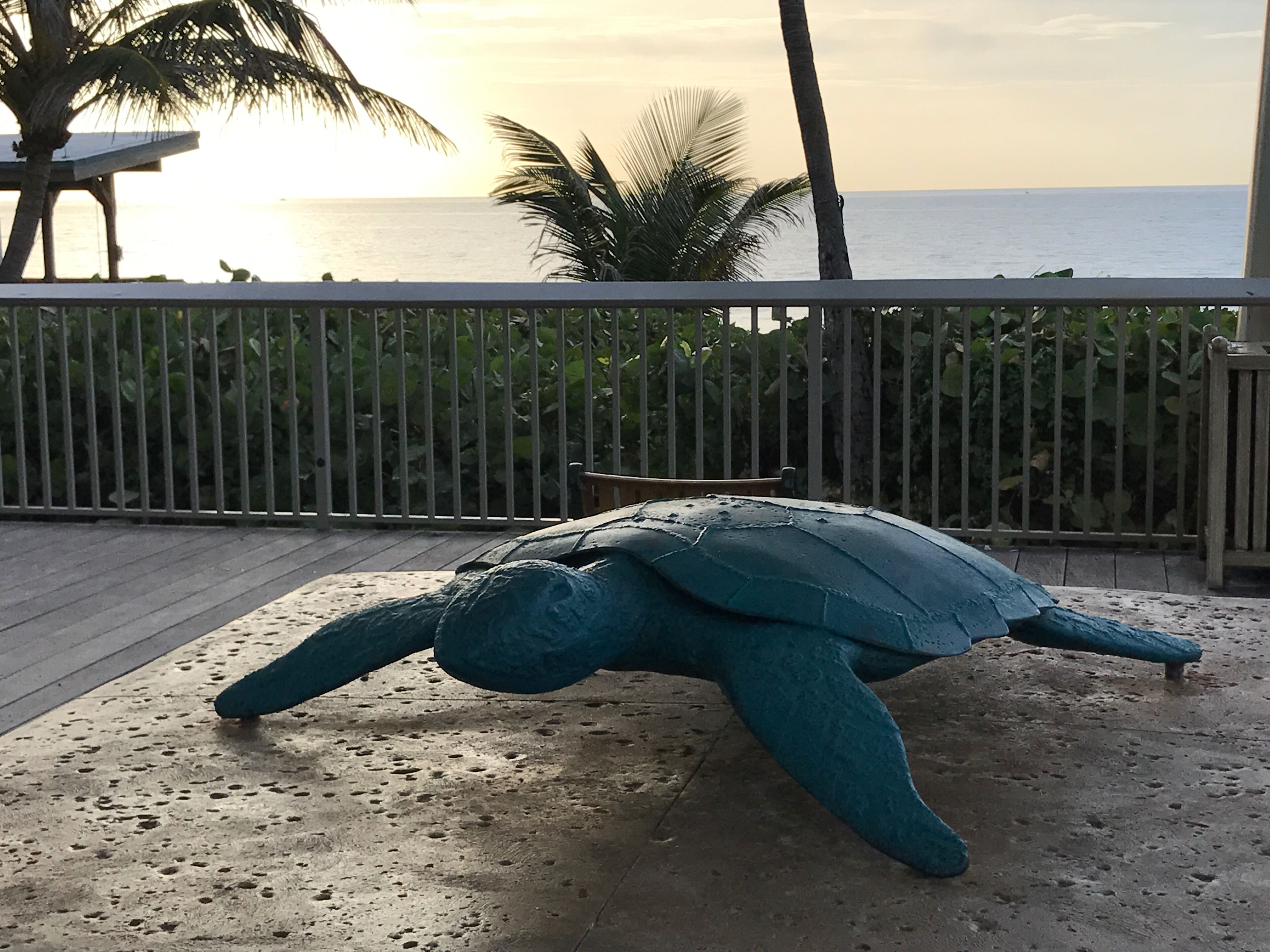 A large turtle sculpture on a wet concrete surface with a wooden deck and metal railing in the background.